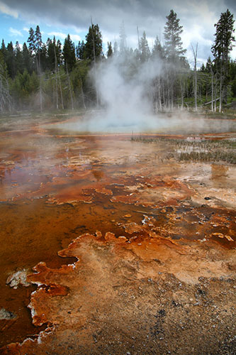 DIA 16: Yellowstone - 18 días por la Costa Oeste de Estados Unidos: un sueño hecho realidad (21)