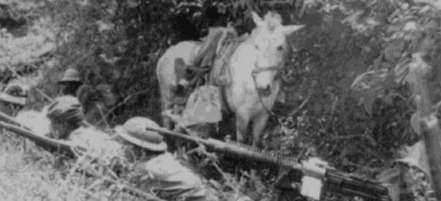 Las guerrillas filipinas estaban provistas con armas japonesas y norteamericanas como puede observarse en la foto. Su uniformidad era la típica de unidades irregulares