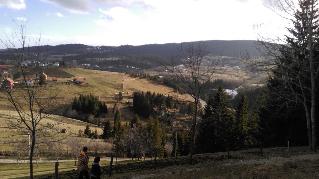 Slika