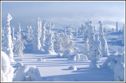 Lapland_Finland_11.jpg