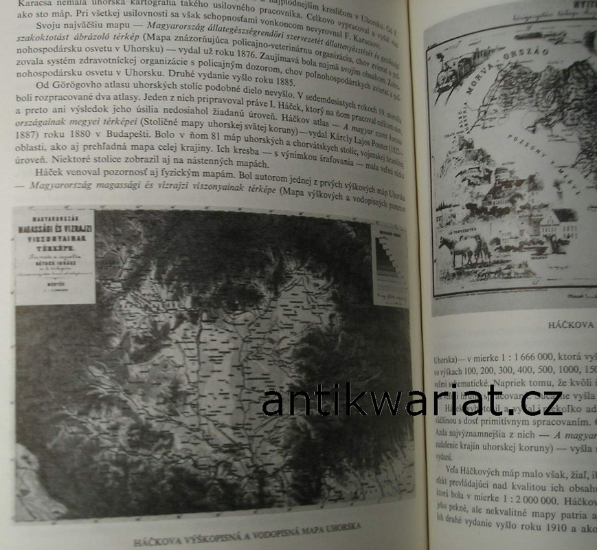 1wa Image00237