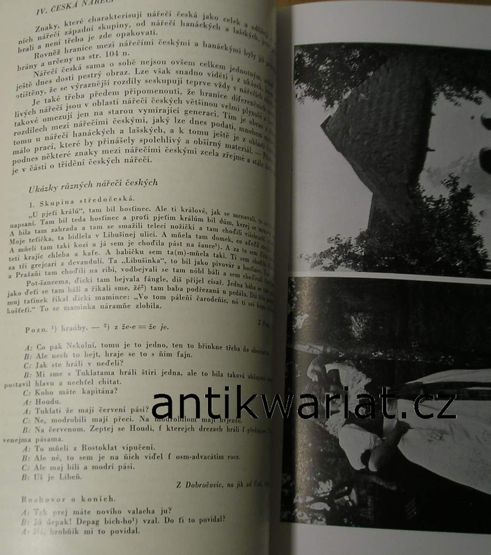 1wa Image00222