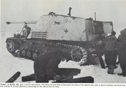 "Nashorn" из s.H.Pz.Jg.Abt.519,  Витебск, июнь 1944 года Nashorn_5_519_Panzerjaeger_Abt_Witebsk_4