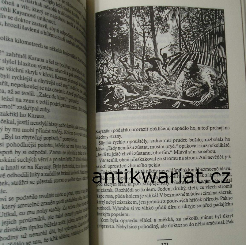 Image00250