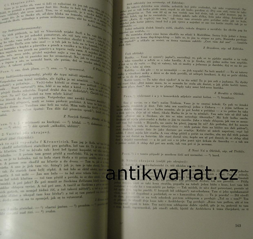 1wa Image00212
