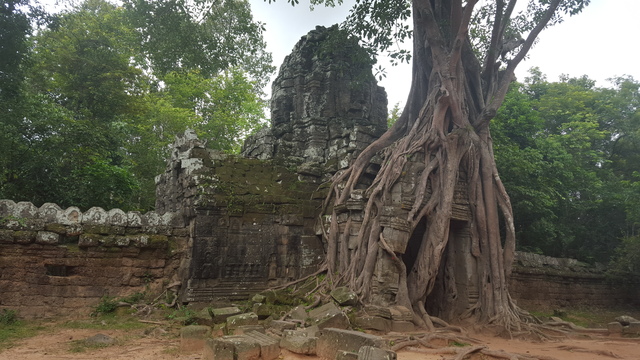 Tailandia y Camboya 2015, el viaje soñado - Blogs de Tailandia - Siem Reap, Camboya (14)