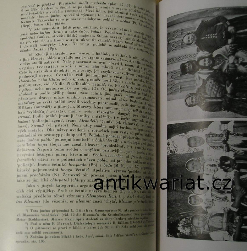 1wa Image00248