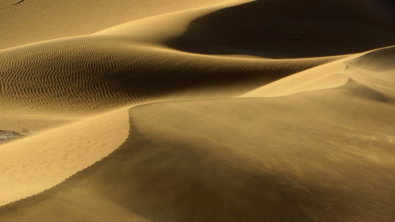 8 dias por el desierto marroqui - Blogs de Marruecos - M´hamid-Hara Oasis (3)