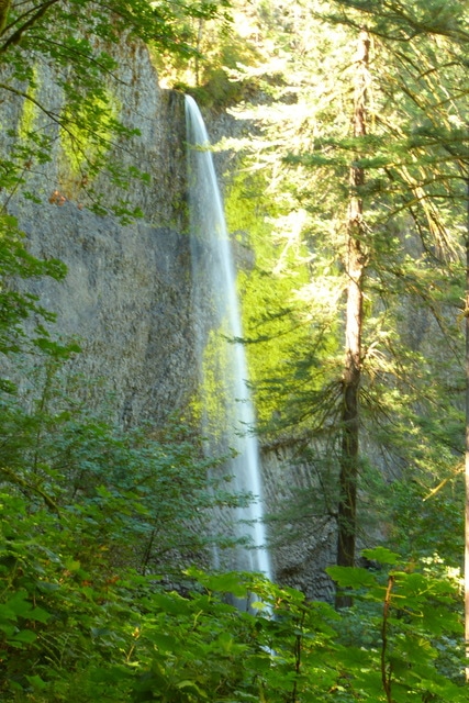 Día 8: Portland - Columbia River Gorge - Mount Hood - Las maravillas del Noroeste de los Estados Unidos (8)