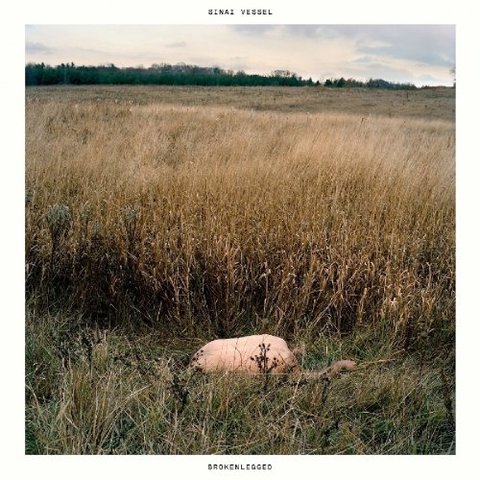 Sinai Vessel - Brokenlegged (2017) 320 KBPS