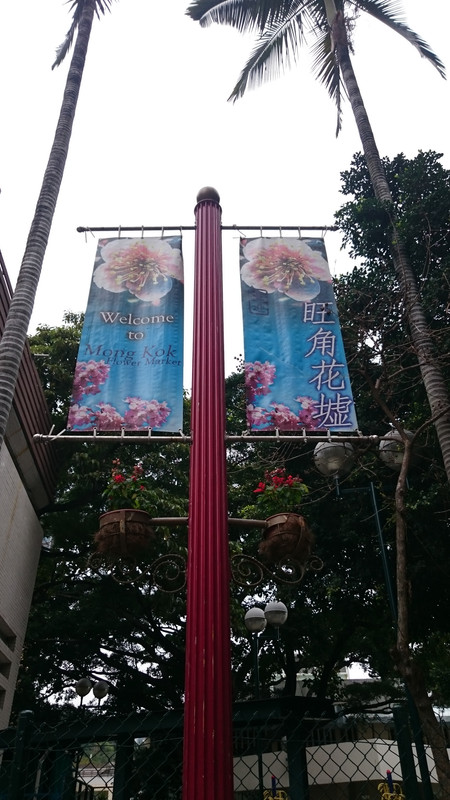 Semana Santa en Hong Kong (2017) - Blogs de China - 12 ABR Mong Kok & Nathan Road (6)