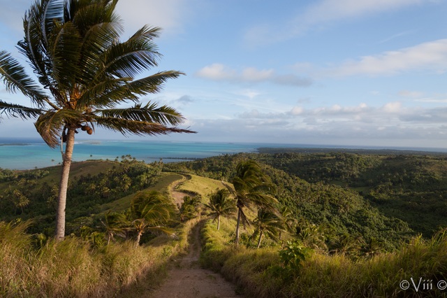 Día 20. Aitutaki - Nueva Zelanda/Islas Cook - Viaje de novios a la Tierra Media (3)