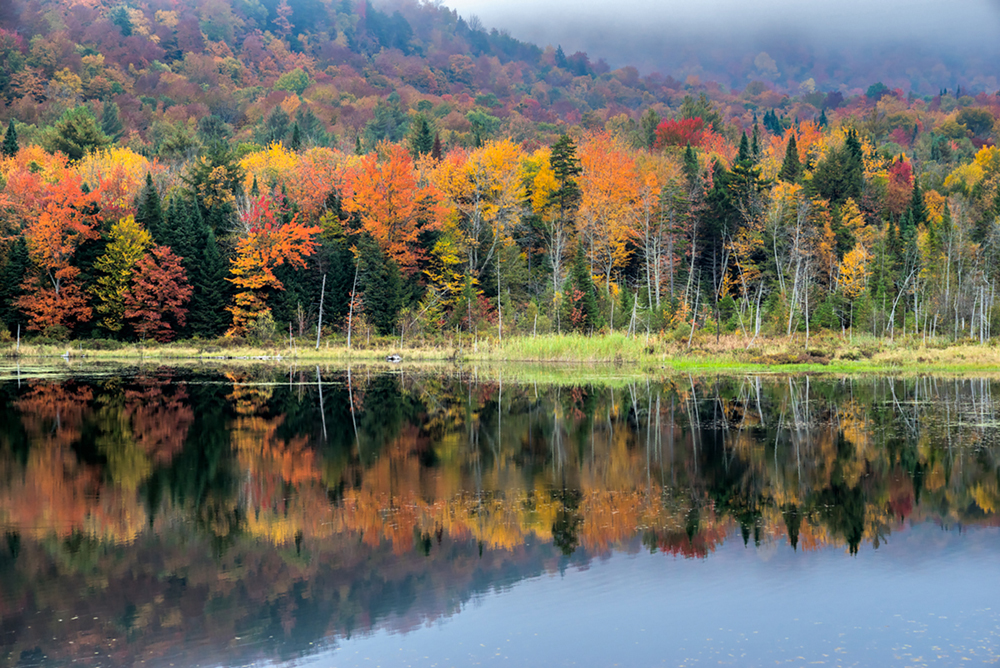 Vermont and Quebec Fall colors trip - FlyerTalk Forums
