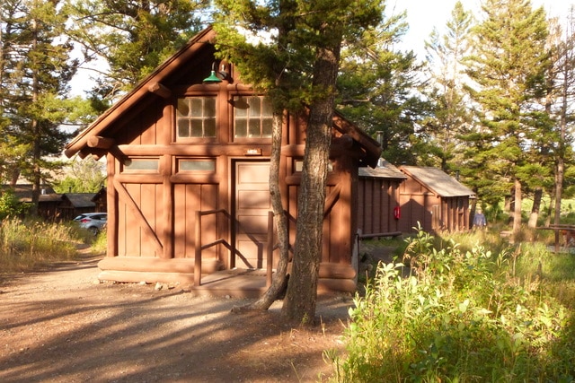 Día 13: Yellowstone II. Norris G.B. - Y. Canyon - Lamar Valley - Roosvelt Lodge - Las maravillas del Noroeste de los Estados Unidos (27)