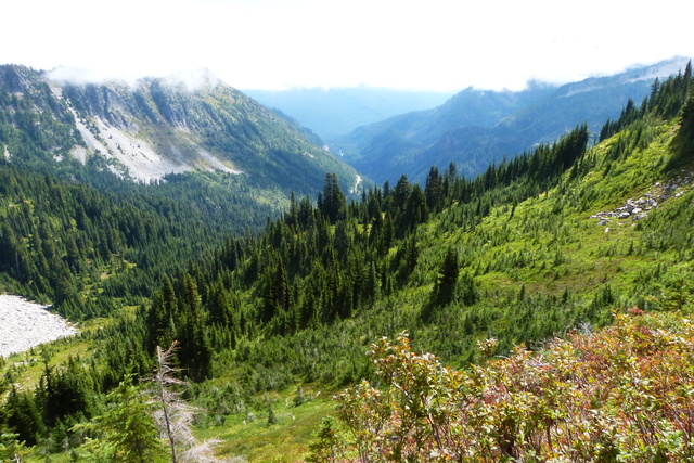 Día 22: Mount Rainier NP - Las maravillas del Noroeste de los Estados Unidos (18)