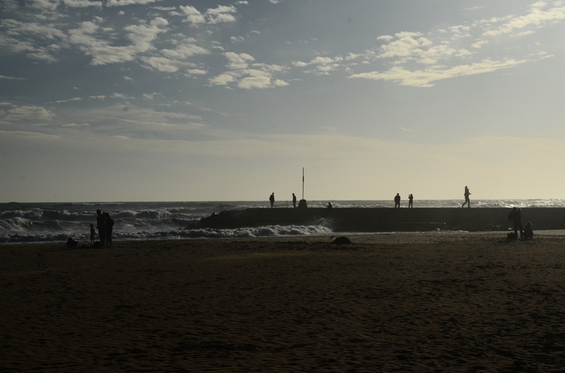 SITGES-5-11-2016 - Barcelona y sus pueblos-2014/2016/2017 (39)